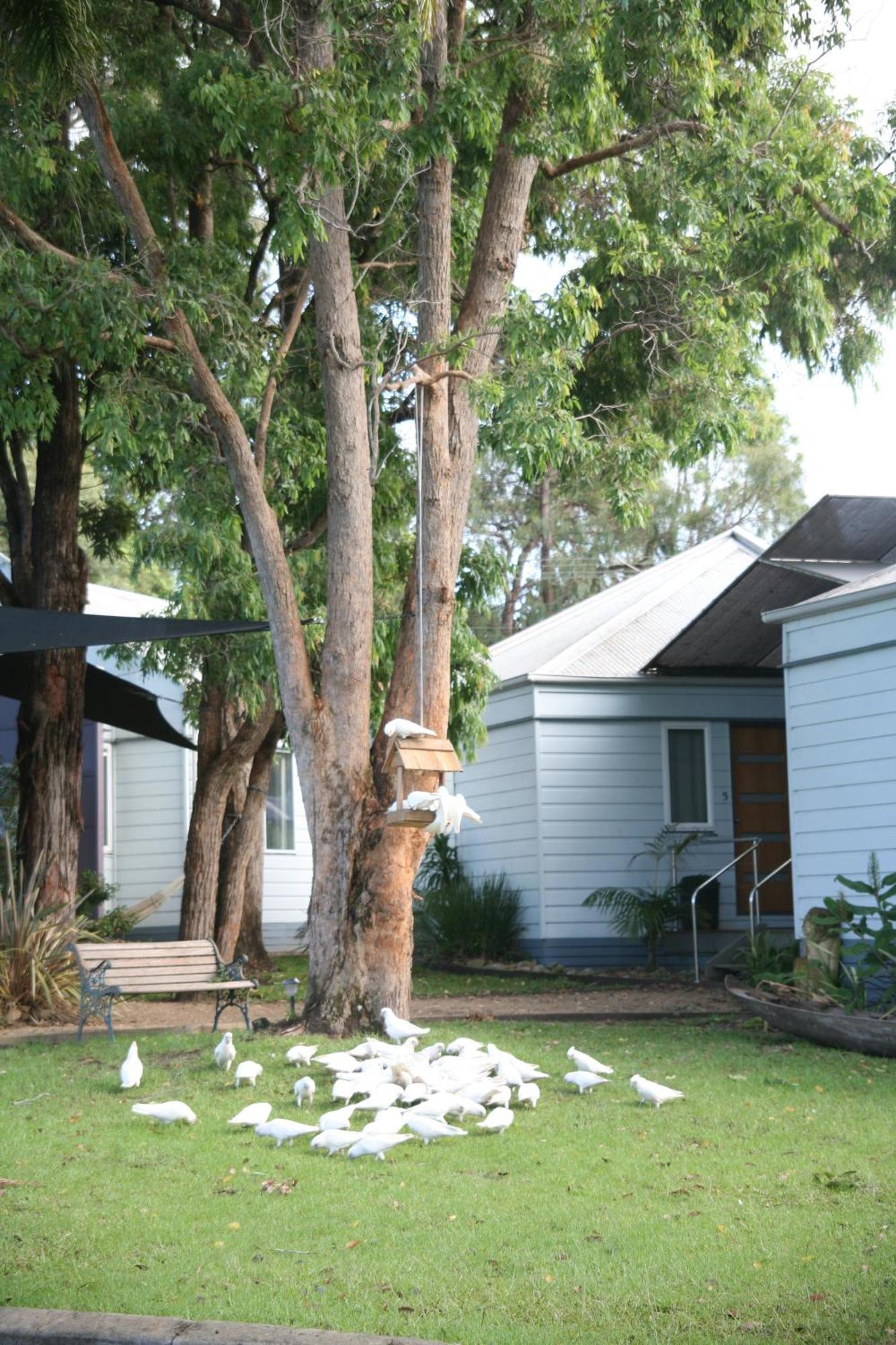 Huskisson Holiday Motel Cabins Jervis Bay Extérieur photo